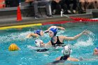 WWPolo vs CC  Wheaton College Women’s Water Polo vs Connecticut College. - Photo By: KEITH NORDSTROM : Wheaton, water polo